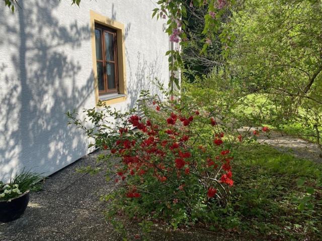 Ferienwohnungen Hanke Barbara Piding Exterior foto